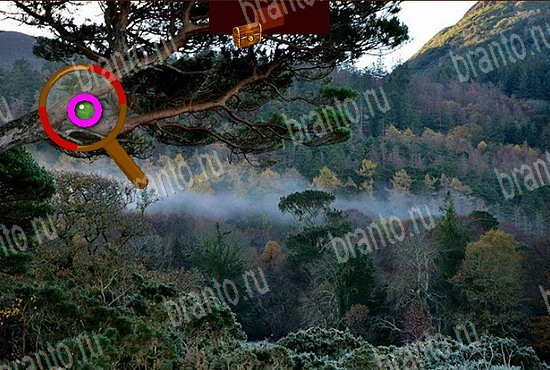 Сокровища морей подсказки в контакте Уровень 370