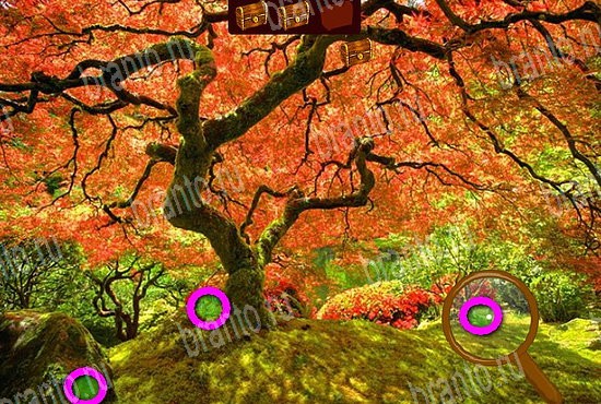 Сокровища морей ответы в картинках в контакте Уровень 407