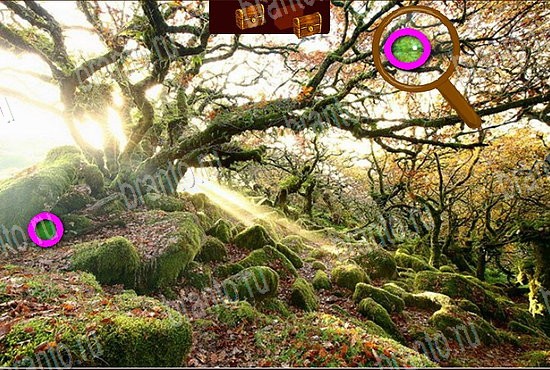 ответы на игру в одноклассниках Сокровища морей Уровень 427