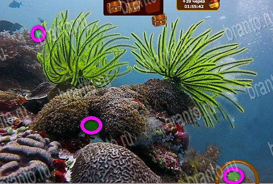 Игра Сокровища морей подсказки одноклассники Уровень 450