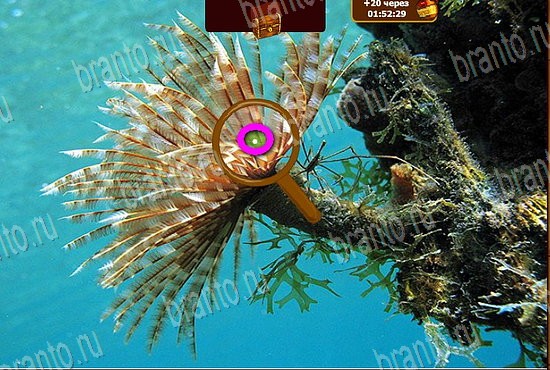 ответы на игру Сокровища морей в одноклассниках Уровень 451