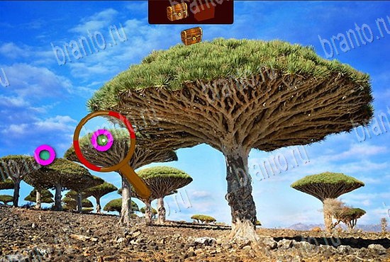 Сокровища морей подсказки в контакте Уровень 490