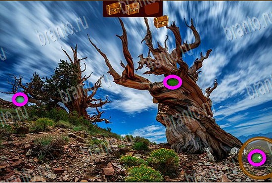 Игра Сокровища морей подсказки вк Уровень 499