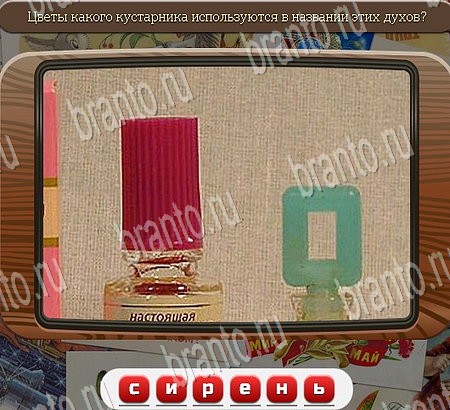 Союз нерушимый игра ответы Уровень 974