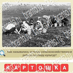 решения на игру СССР вконтакте уровень 184