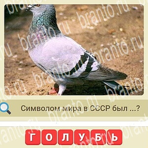 игра СССР подсказки одноклассники уровень 517