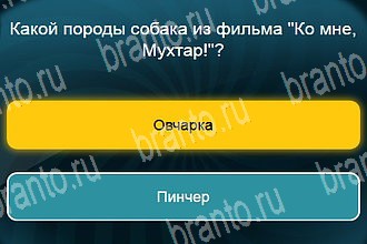 Телевизор помощь Уровень 375