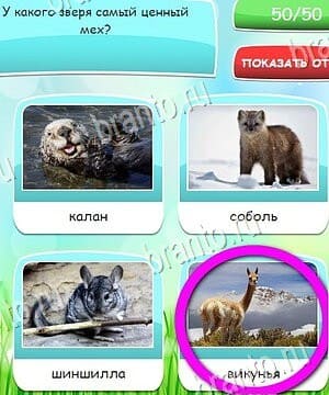 ВКонтакте Угадай, 4 картинки, 4 слова, викторина ответ на Уровень 42