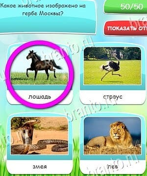 Игра Угадай, 4 картинки, 4 слова, викторина ВКонтакте решения Уровень 57