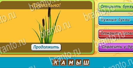 Угадай чья тень игра в одноклассниках помощь Уровень 41