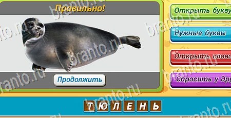 игра Угадай чья тень разгадки, ответ на Уровень 61