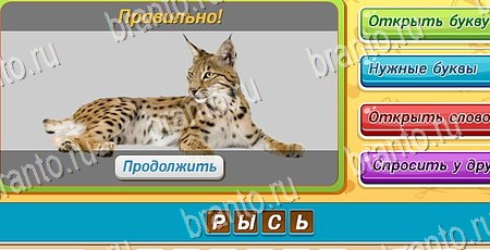 Угадай чья тень решения на игру из одноклассников Уровень 63