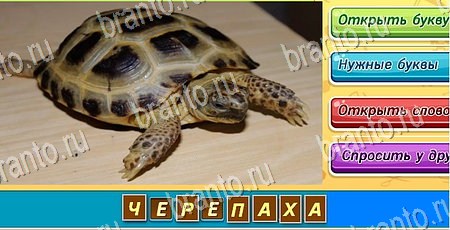 Помощь на игру ВК Угадай, чья тень? Уровень 130