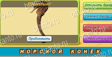 Угадай чья тень игра ответы на все задания Уровень 139