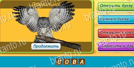Одноклассники Угадай чья тень ответы Уровень 159