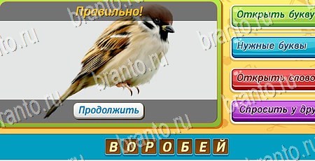 Угадай чья тень игра в контакте подсказки Уровень 165