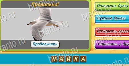 решебник на игру Угадай чья тень Уровень 172