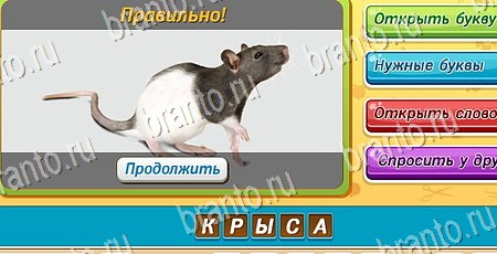 ответы к игре Угадай чья тень в контакте Уровень 331