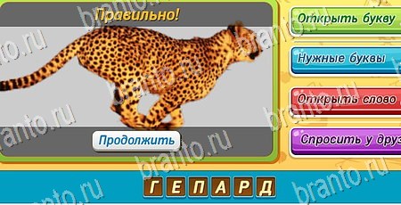 игра Угадай, чья тень? ответы в одноклассниках на Уровень 396
