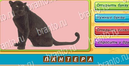 Угадай чья тень игра ответы на все задания Уровень 239