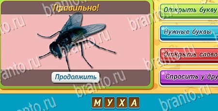 Угадай чья тень игра ответы в одноклассниках Уровень 433