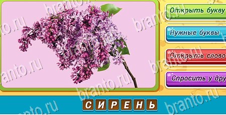 Угадай чья тень игра ответы ВК Уровень 499