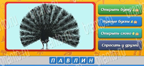 ответы к игре Угадай кто в контакте Уровень 256