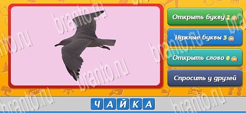 Помощь на игру ВК Угадай, кто? Уровень 355