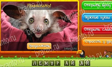 Помощь на игру ВК Угадай животных Уровень 30