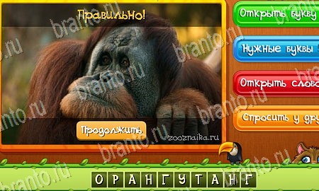 Угадай животных подсказки в контакте Уровень 35