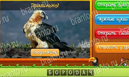 игра Угадай животных разгадки, ответ на Уровень 36