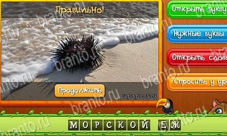 Угадай животных игра в одноклассниках помощь Уровень 41