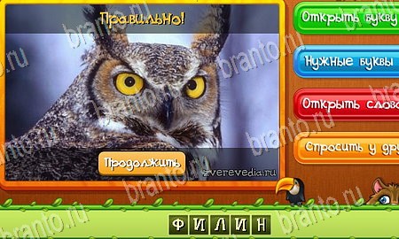 Игра Угадай животных ответы одноклассники, вк Уровень 43