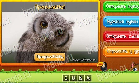 игра Угадай животных помощь одноклассники Уровень 45