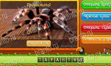 игра Угадай животных ответы в одноклассниках на Уровень 46