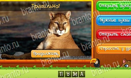 решебник на игру Угадай животных Уровень 47