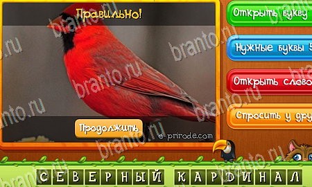 Угадай животных игра из одноклассников решения Уровень 48