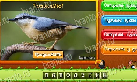 Угадай животных игра ответы ВК Уровень 49