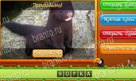 Угадай животных игра вконтакте подсказки Уровень 50