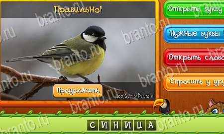 ответы на игру Угадай животных в одноклассниках Уровень 51