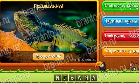 ответы на игру Угадай животных в одноклассниках Уровень 52