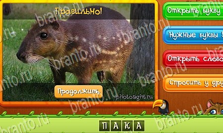 Подсказки на игру Угадай животных Эпизод 3 уровень 53