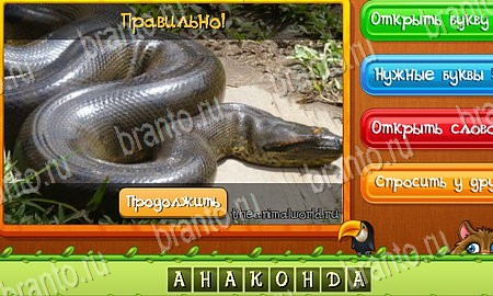 Помощь на игру ВК Угадай животных уровень 55