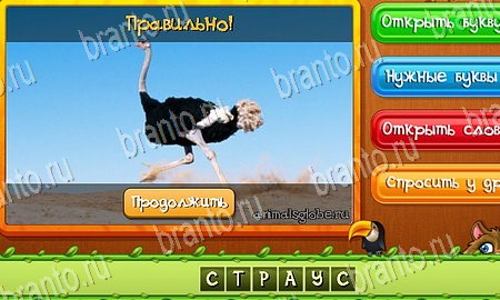 ответы на игру в одноклассниках Угадай животных уровень 57