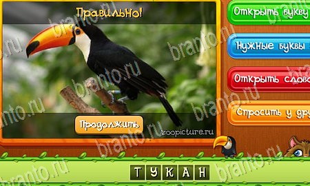 Одноклассники Угадай животных ответы уровень 59