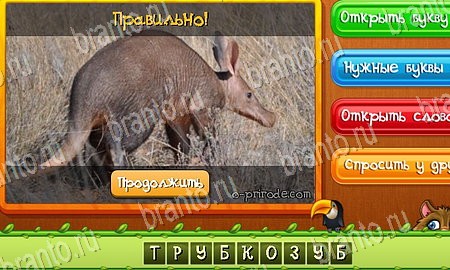 игра Угадай животных разгадки, ответ на Уровень 61