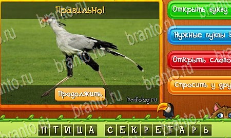 Угадай животных игра в контакте подсказки Уровень 65
