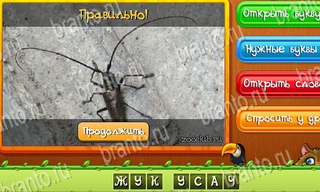 Угадай животных игра в одноклассниках помощь Уровень 66