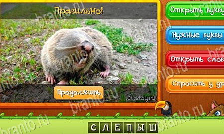 игра Угадай животных помощь одноклассники Уровень 70