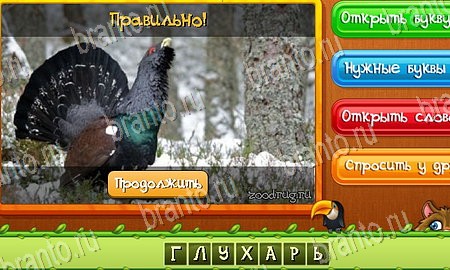 игра Угадай животных ответы в одноклассниках на Уровень 71